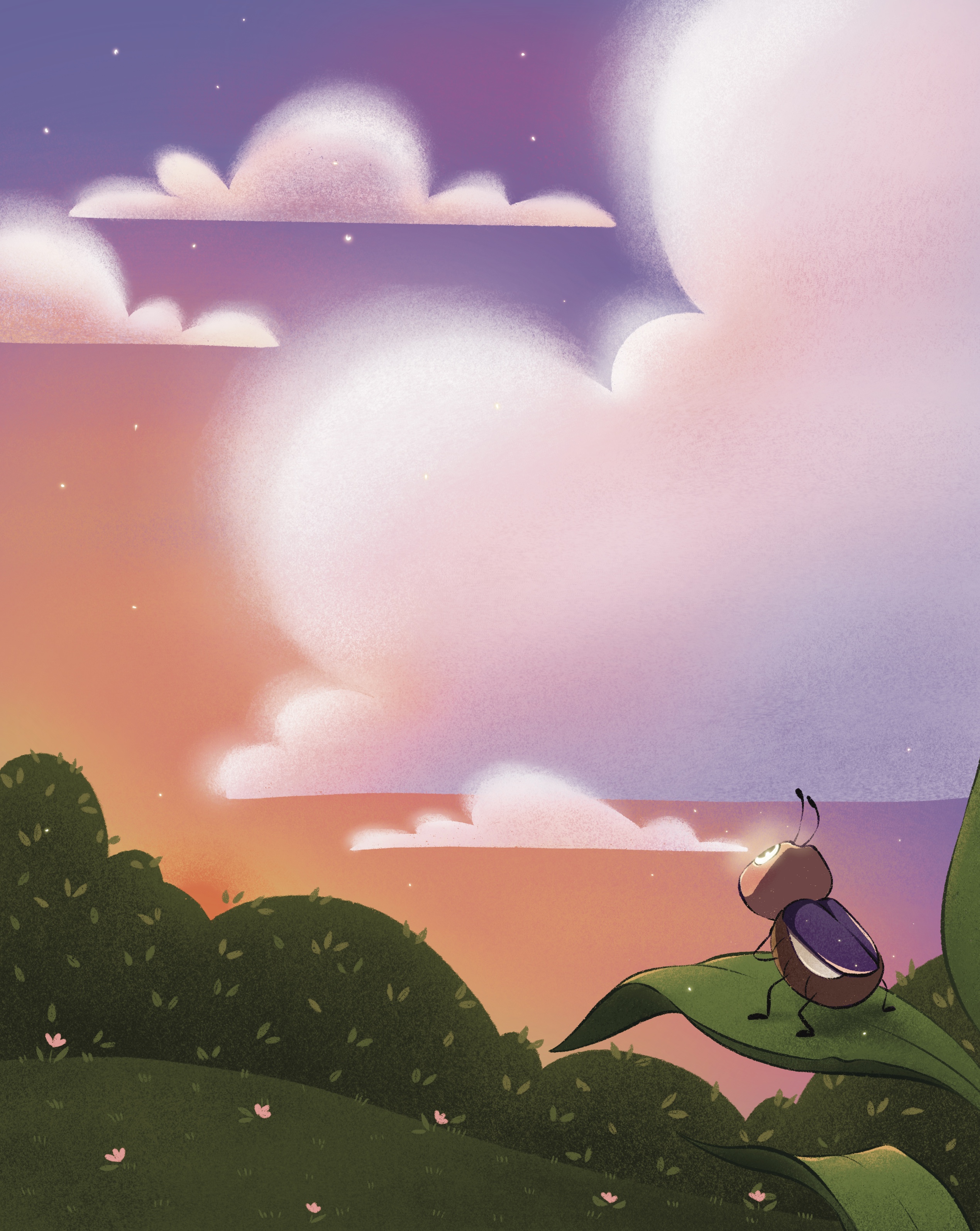Book illustration