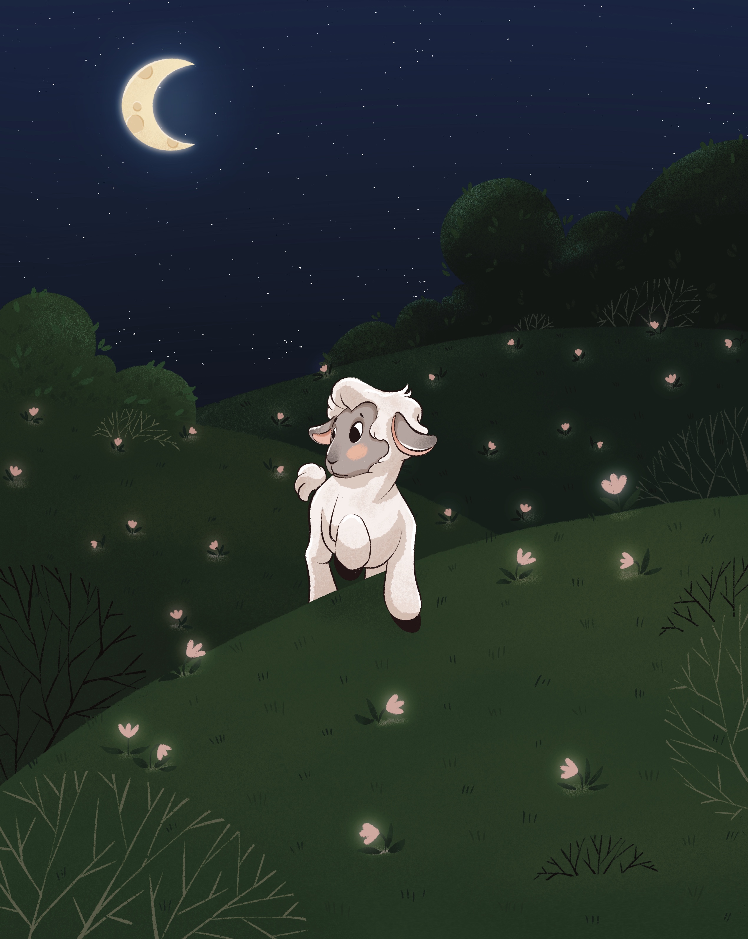 Book illustration
